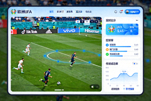 电脑端APP界面展示图，显示欧洲杯赛事高清直播画面与数据统计